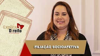 Explica Direito Filiação Socioafetiva  2019 [upl. by Bendite]