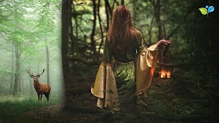 Enchanted Celtic Music  432Hz Nature Music  Magical Forest Sounds [upl. by Hamon239]