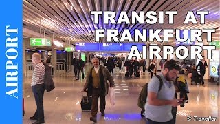 TRANSIT WALK AT FRANKFURT Airport FRA Terminal 1  Connection Flight Transfer Arriving amp Departing [upl. by Weinman]